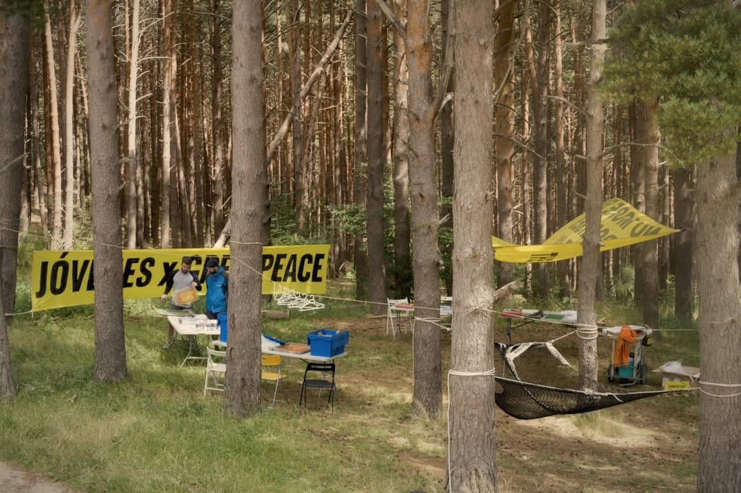 Alferd Packer Massacre Sites