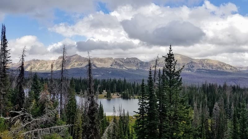 Ashley National Forest - High Uintas Wilderness