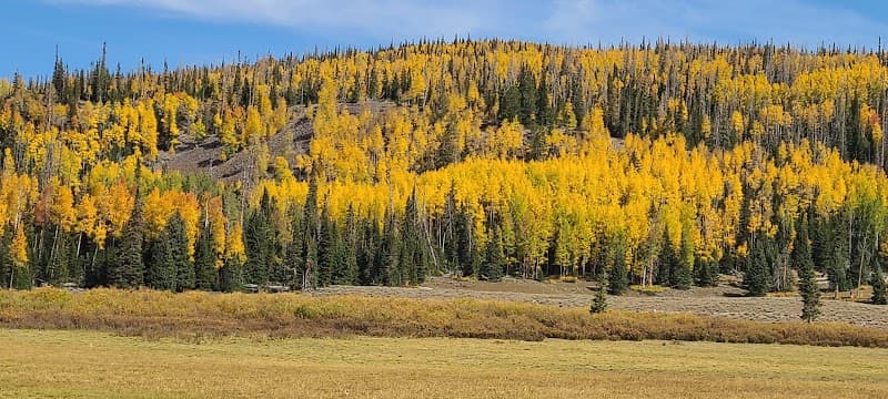 Brian Head Fall Colors