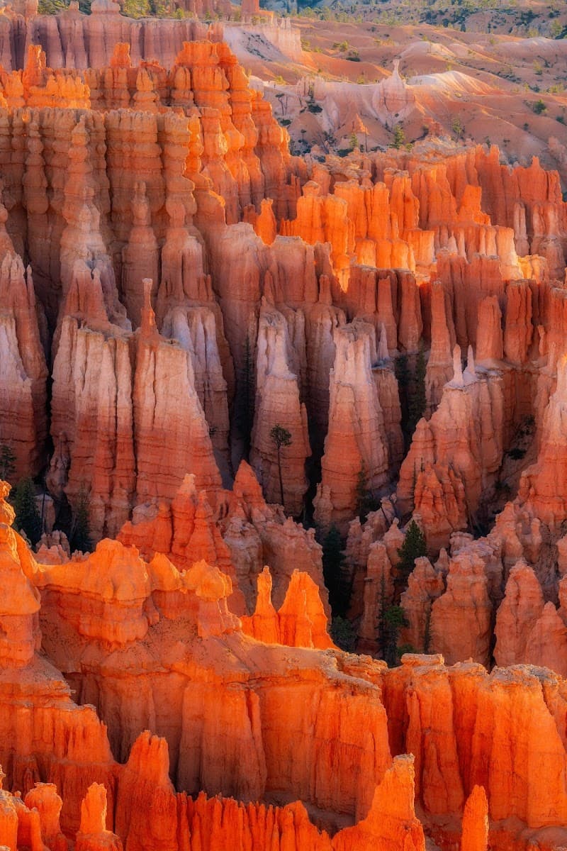 Cattle Kate Lynching