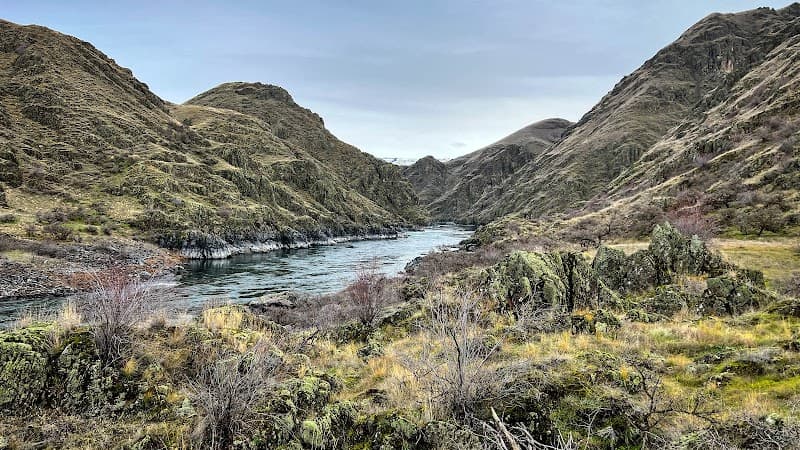 Chinese Massacre Cove