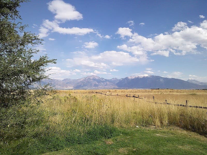 Cougar Park