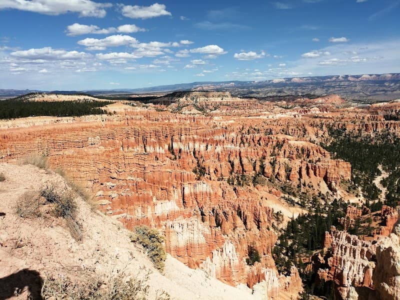 Dixie National Forest - Boulder Mountain