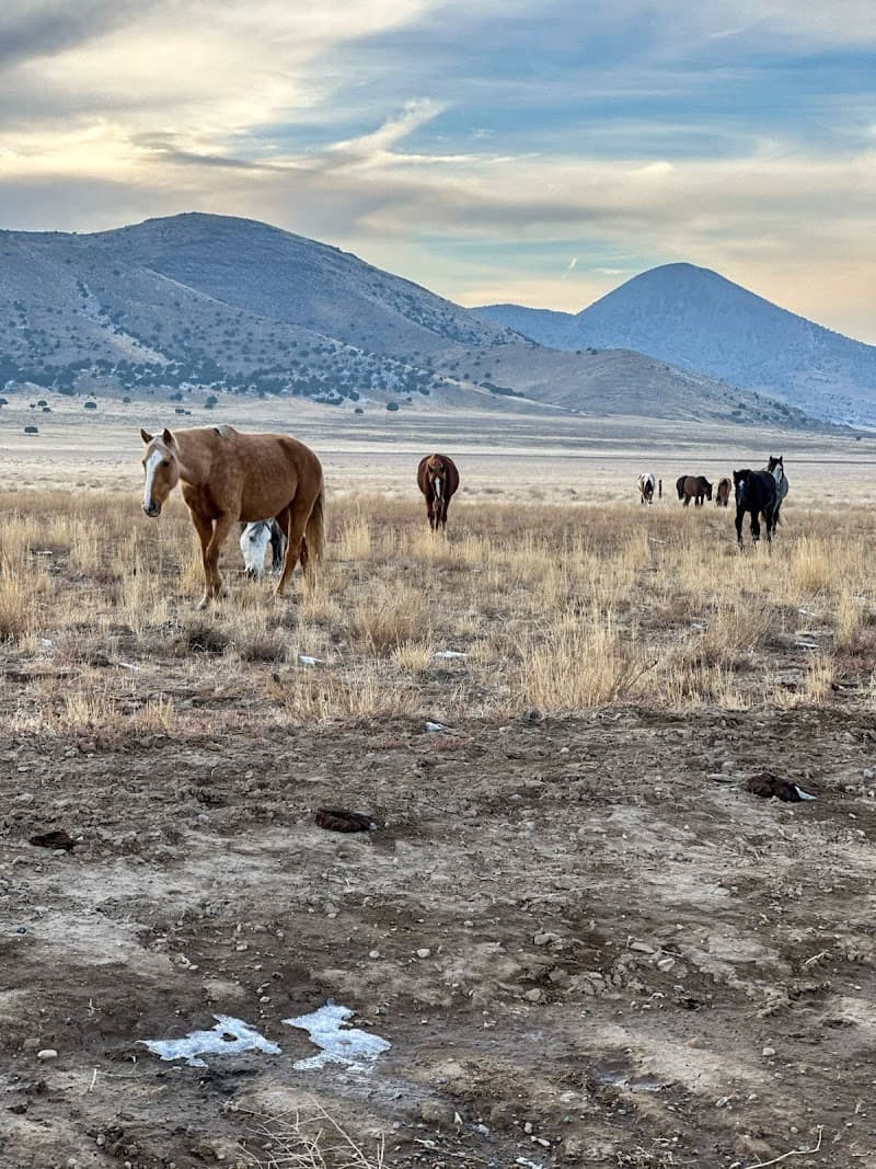 Dugway Proving Ground Perimeter