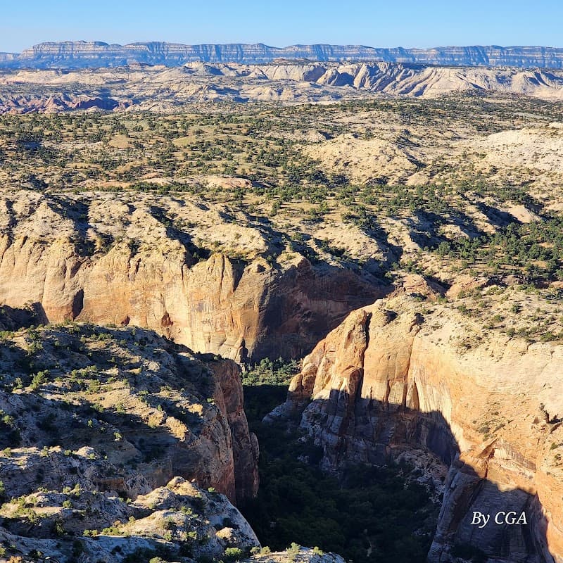 Escalante