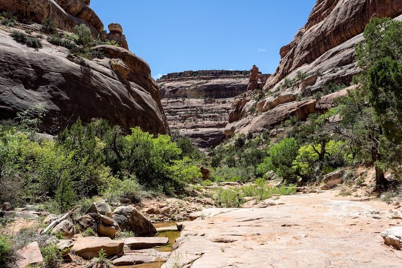 Fish Creek Canyon