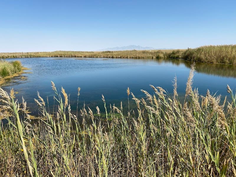 Fish Springs National Wildlife Refuge