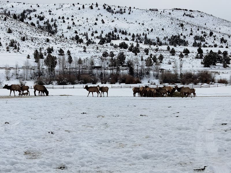 Hardware Ranch