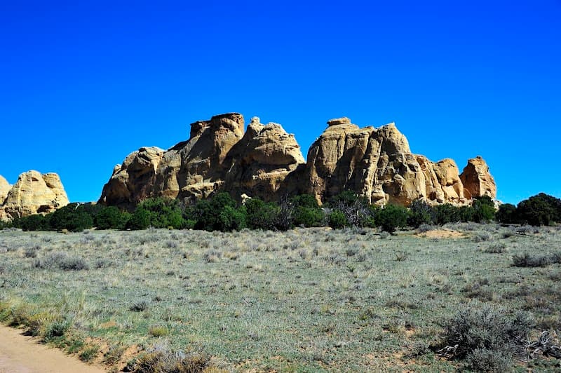 Head of Sinbad