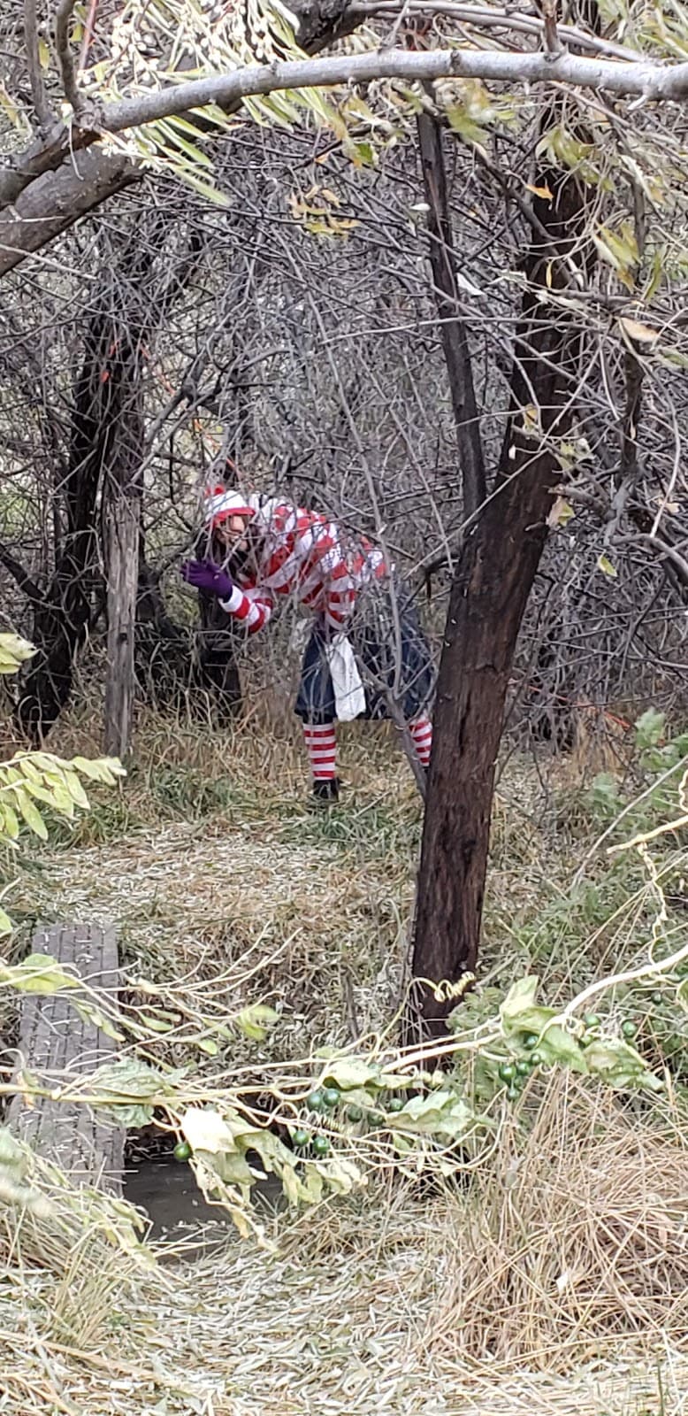 Idaho Haunted Swamp