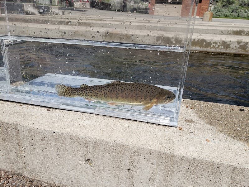 Jones Hole Fish Hatchery