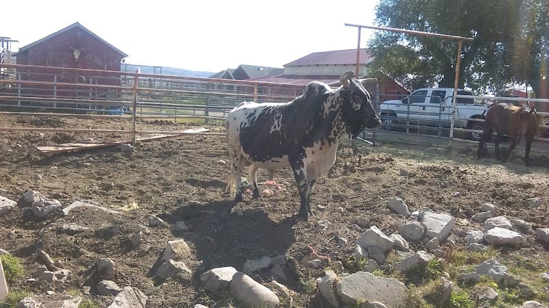 Kamas Rodeo
