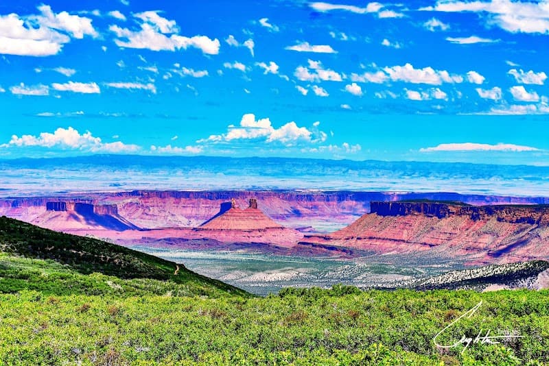 Manti-La Sal National Forest