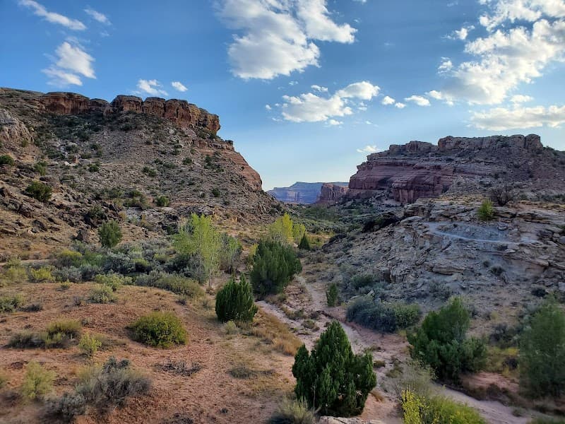 Mill Canyon Dinosaur Trail