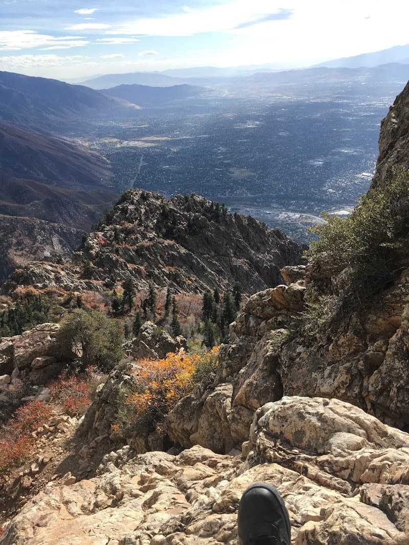 Mount Olympus Trail