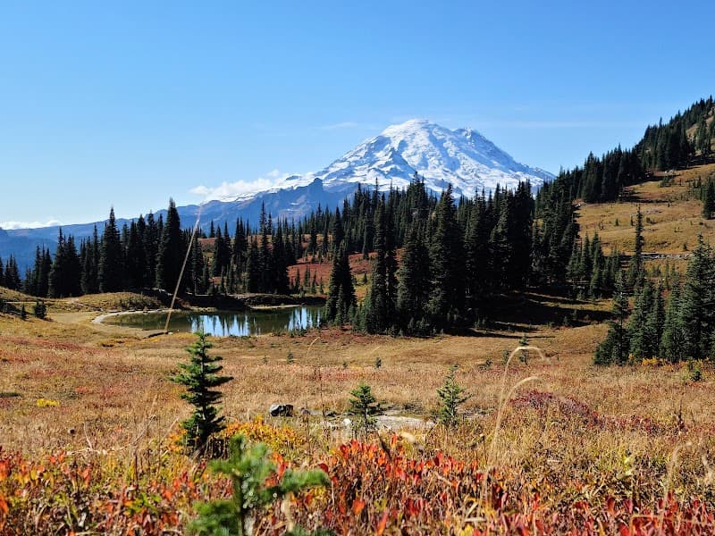 Mount Rainier National Park