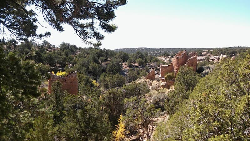 Muir Woods National Monument