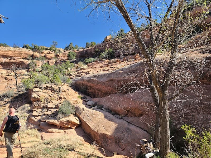 Mule Canyon