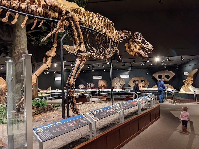 Museum of the Rockies