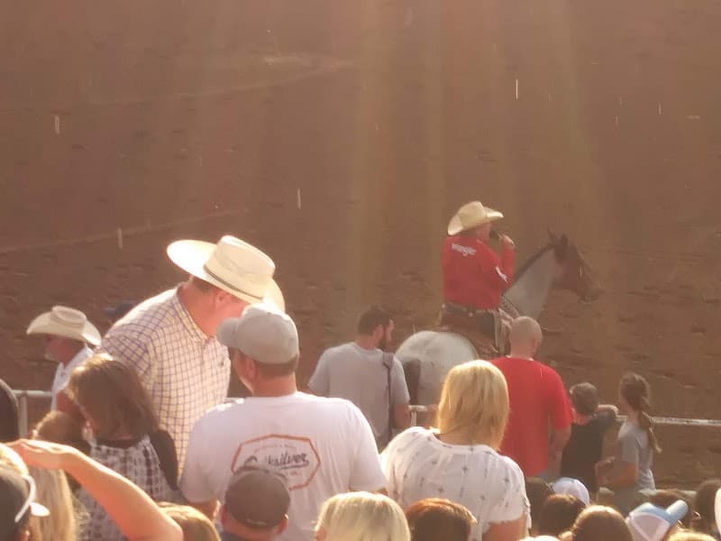 Nephi Ute Stampede