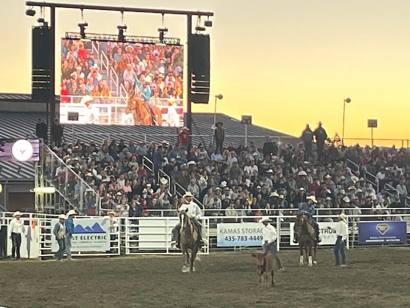 Oakley Rodeo