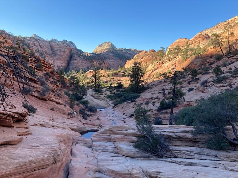 Orderville Canyon Pools