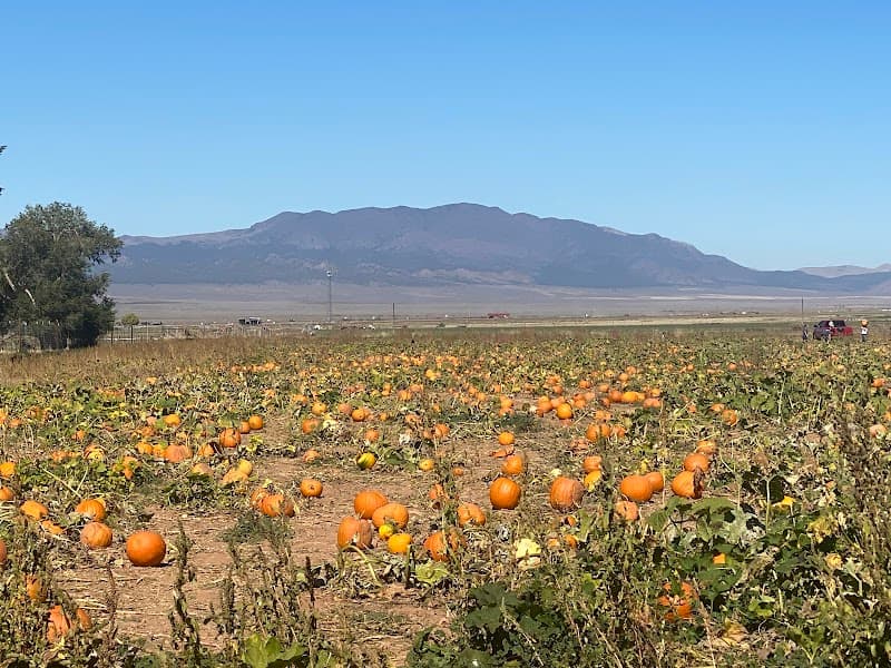 Pumpkin Days (Panguitch)
