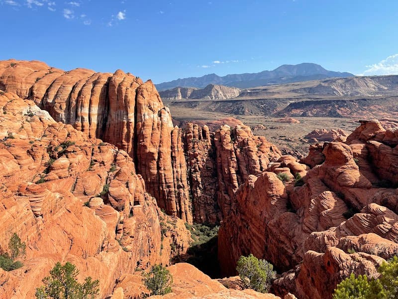 Red Cliffs National Conservation Area