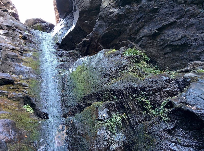 Rocky Mouth Falls Pool
