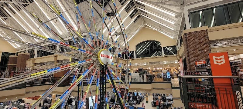 Scheels