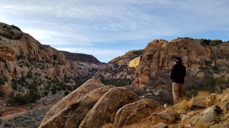 Shay Canyon