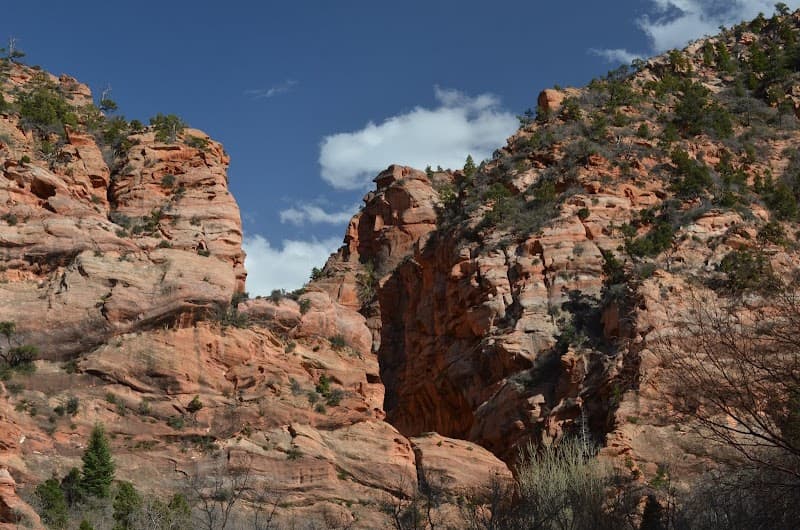 Spring Canyon