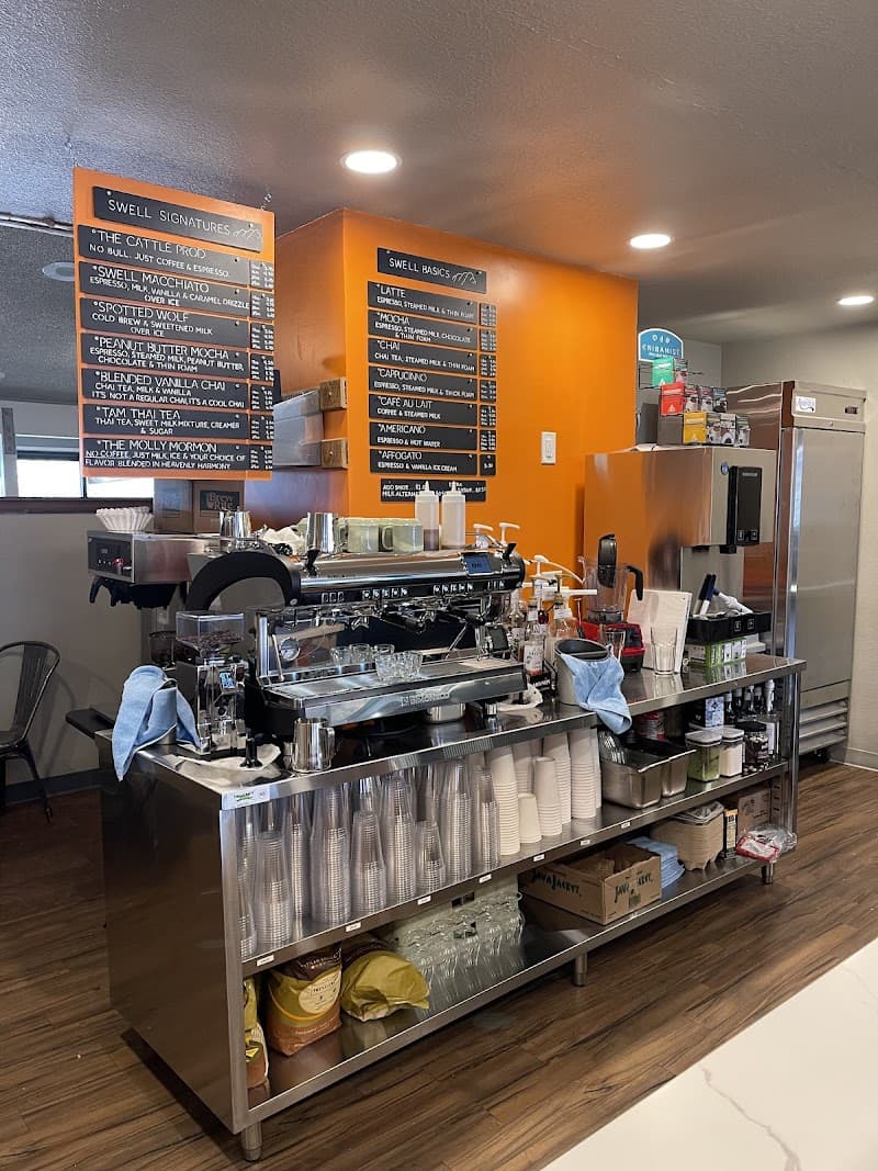 Swell, The (Green River)