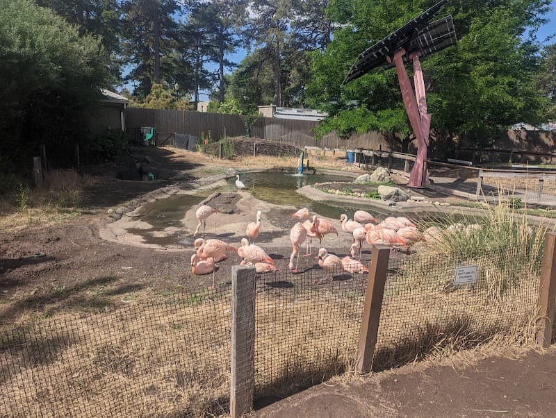 Tracy Aviary (at Liberty Park)