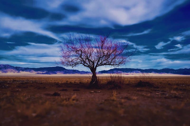 Wah Wah Mountains - Red Beryl