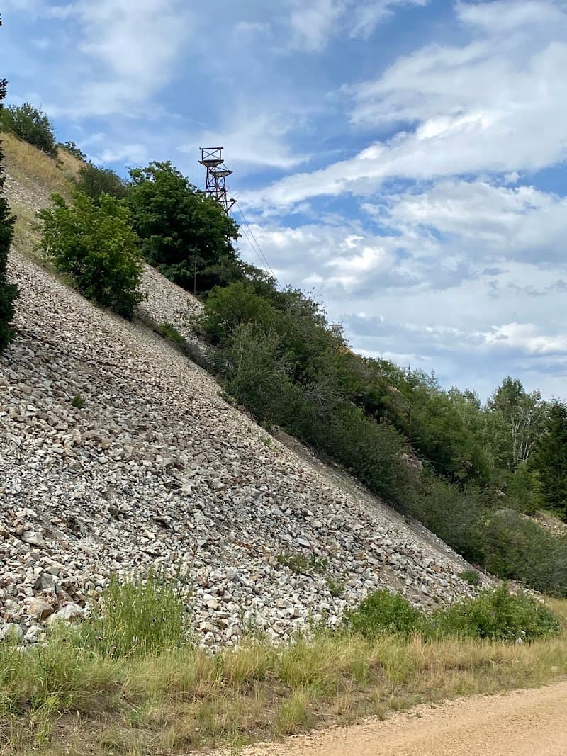 Winter Quarters Mine Disaster