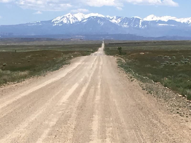 Yellow Cat Flat Petrified Wood Area